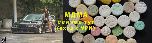 индика Медвежьегорск