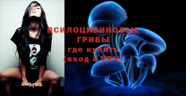молекула духа Мегион