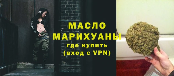 индика Медвежьегорск
