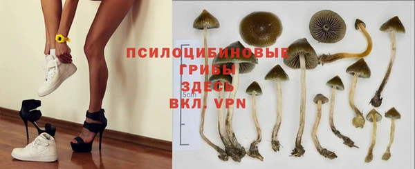 герыч Магас