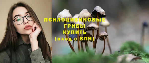 герыч Магас