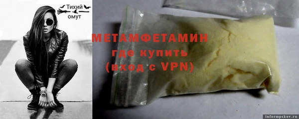 индика Медвежьегорск