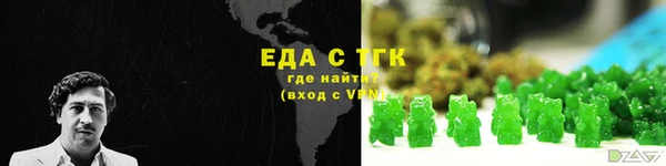 индика Медвежьегорск