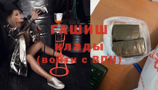 индика Медвежьегорск