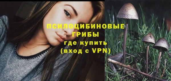 мдпв Магадан
