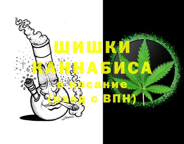индика Медвежьегорск