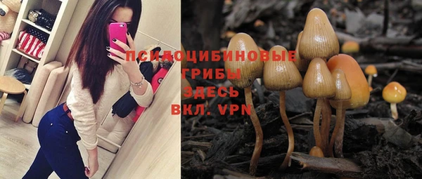 мдпв Магадан