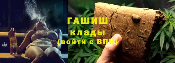 индика Медвежьегорск