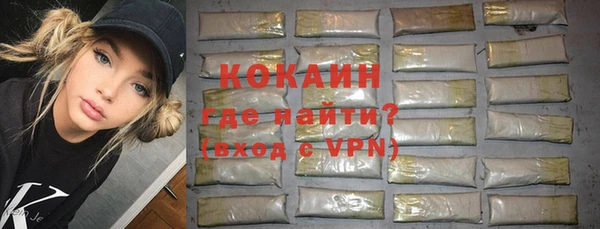 индика Медвежьегорск