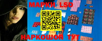 прущие грибы Донской
