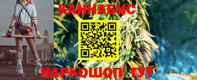 a pvp Дубна