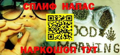 прущие грибы Донской