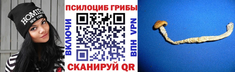 Галлюциногенные грибы прущие грибы  где продают наркотики  Малгобек 