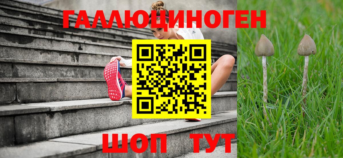 Псилоцибиновые грибы прущие грибы  даркнет сайт  Малгобек  Вход с VPN 