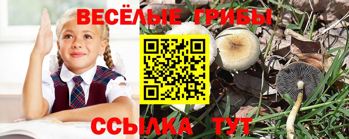Cocaine Малгобек