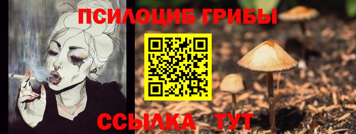 Псилоцибиновые грибы MAGIC MUSHROOMS Малгобек